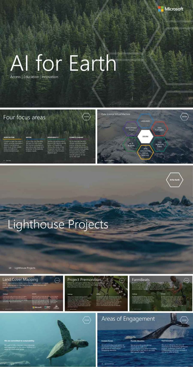 Microsoft AI for Earth Launch The Bridge Studio